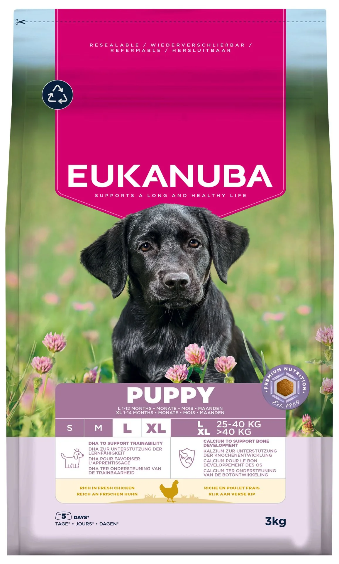 Eukanuba Krmivo Puppy Large rich in fresh chicken 3kg