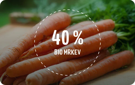 Good Gout BIO Pyré z máslové dýně a mrkve 6m+ 2x190 g Good Gout BIO Pyré z máslové dýně a mrkve 6m+ 2x190 g