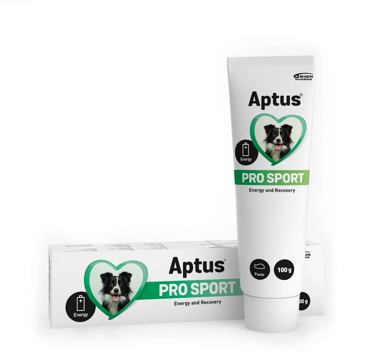 Aptus PRO SPORT pasta 100 g
