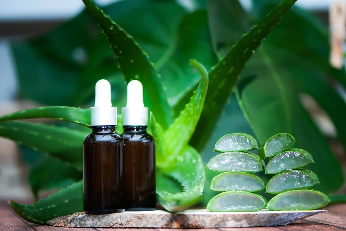 Aloe obsahuje vitaminy A, C a E, enzymy, minerály a antioxidanty, které pozitivně ovlivňují stav pokožky. Aloe obsahuje vitaminy A, C a E, enzymy, minerály a antioxidanty, které pozitivně ovlivňují stav pokožky.