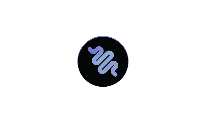 ikona
