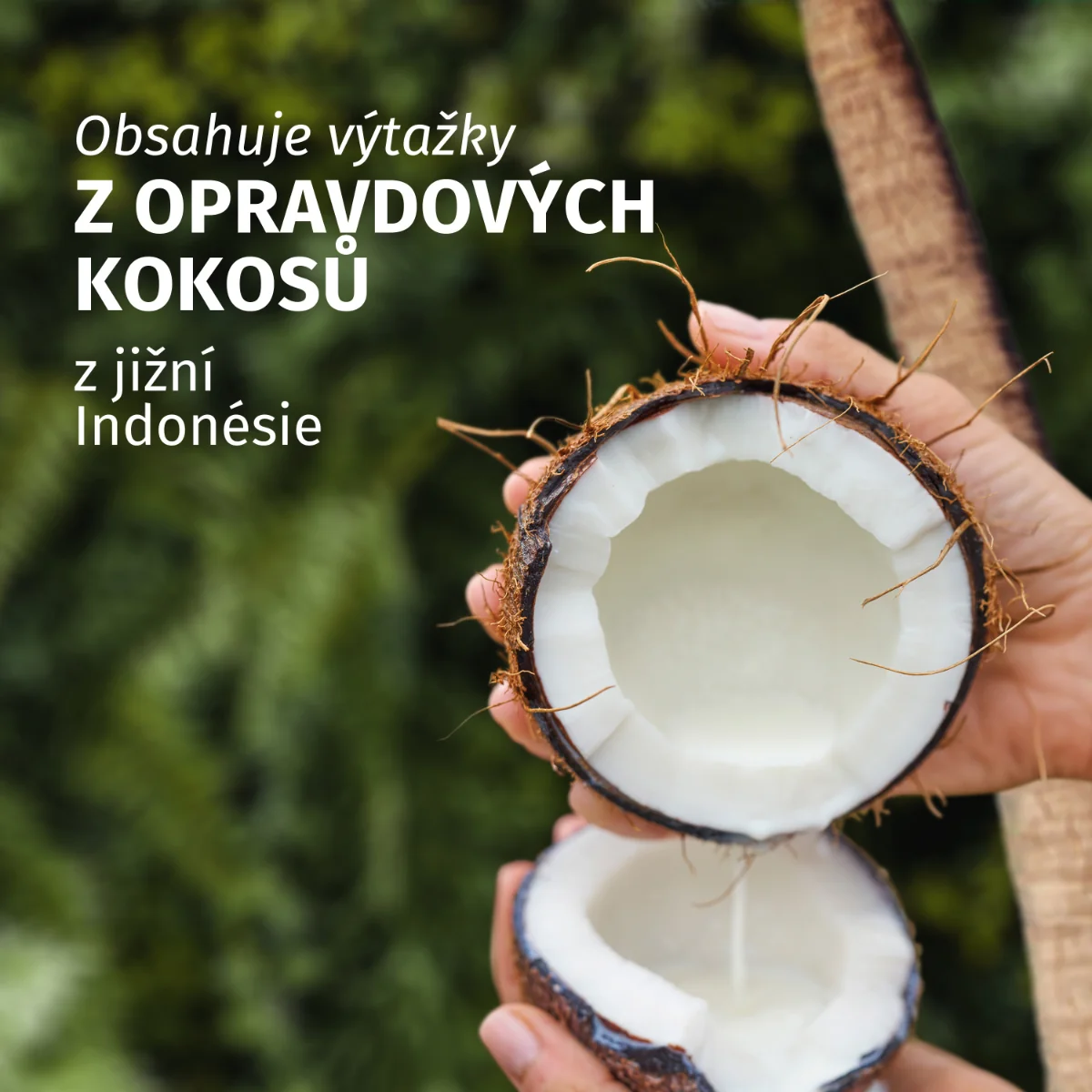 Herbal Essences Coconut kondicionér 250 ml