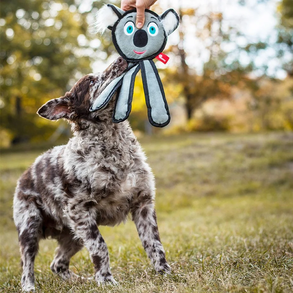 Akinu koala hračka pro psy 36 cm