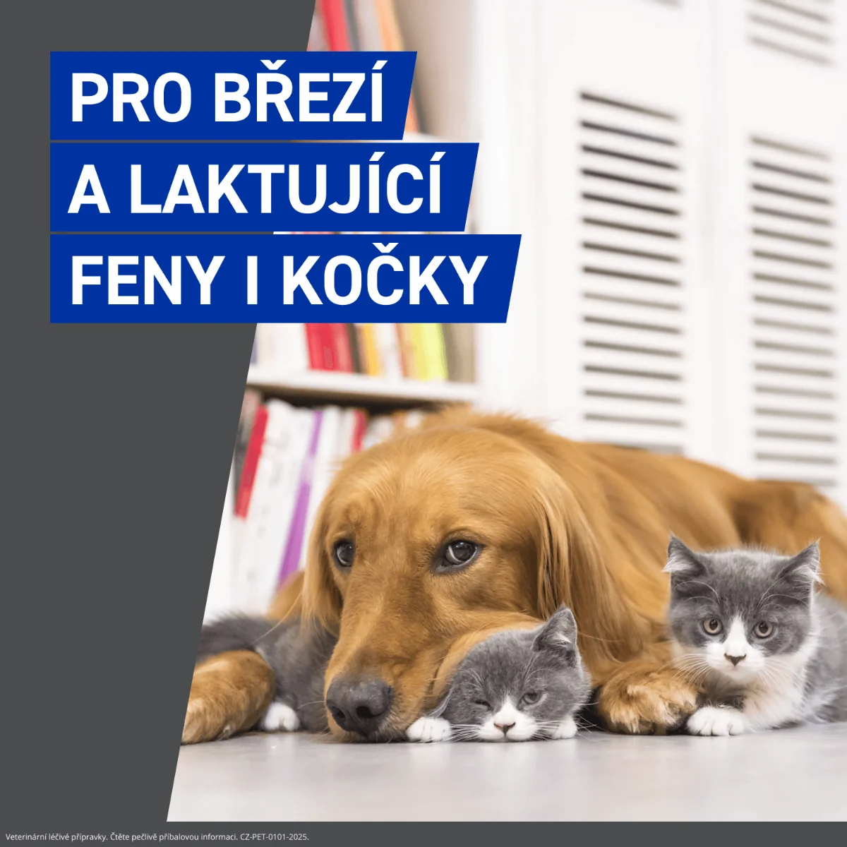FRONTLINE SPRAY 2,5 mg/ml kožní sprej roztok 250 ml