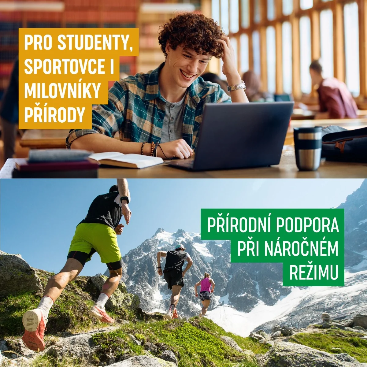 Organis Včelí pyl 100 g