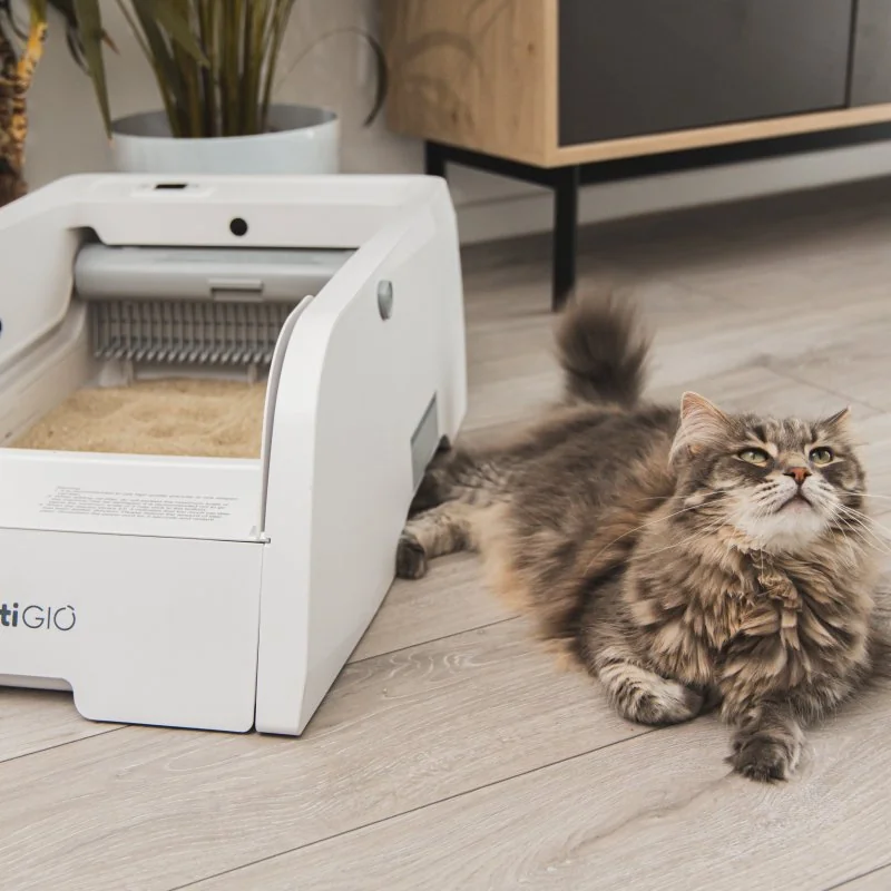 PetiGIO peti-to-Care Smart samočistící toaleta pro kočky