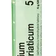 Boiron KALIUM MURIATICUM CH5 granule 4 g