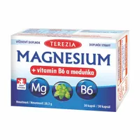 Terezia Magnesium + vitamin B6 a meduňka
