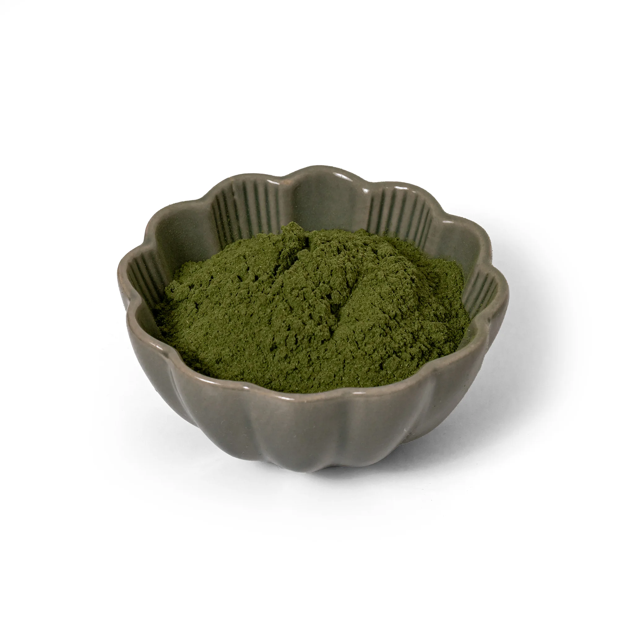 Protein a Co Mladý ječmen v prášku 100 g 