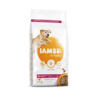 IAMS Dog Senior Large Chicken