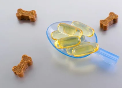 Veterinární doplňky stravy pro psy