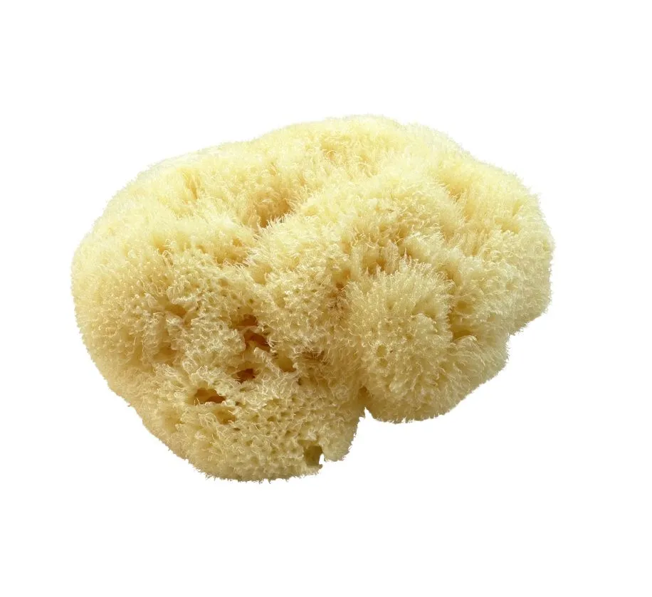 kii-baa organic Hedvábná mořská houba velká 10-12 cm 1 ks