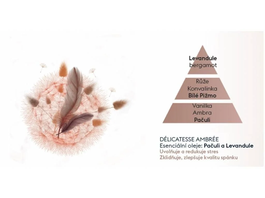 Maison Berger Paris Aroma Náplň do difuzéru Dream Jemná ambra 200 ml