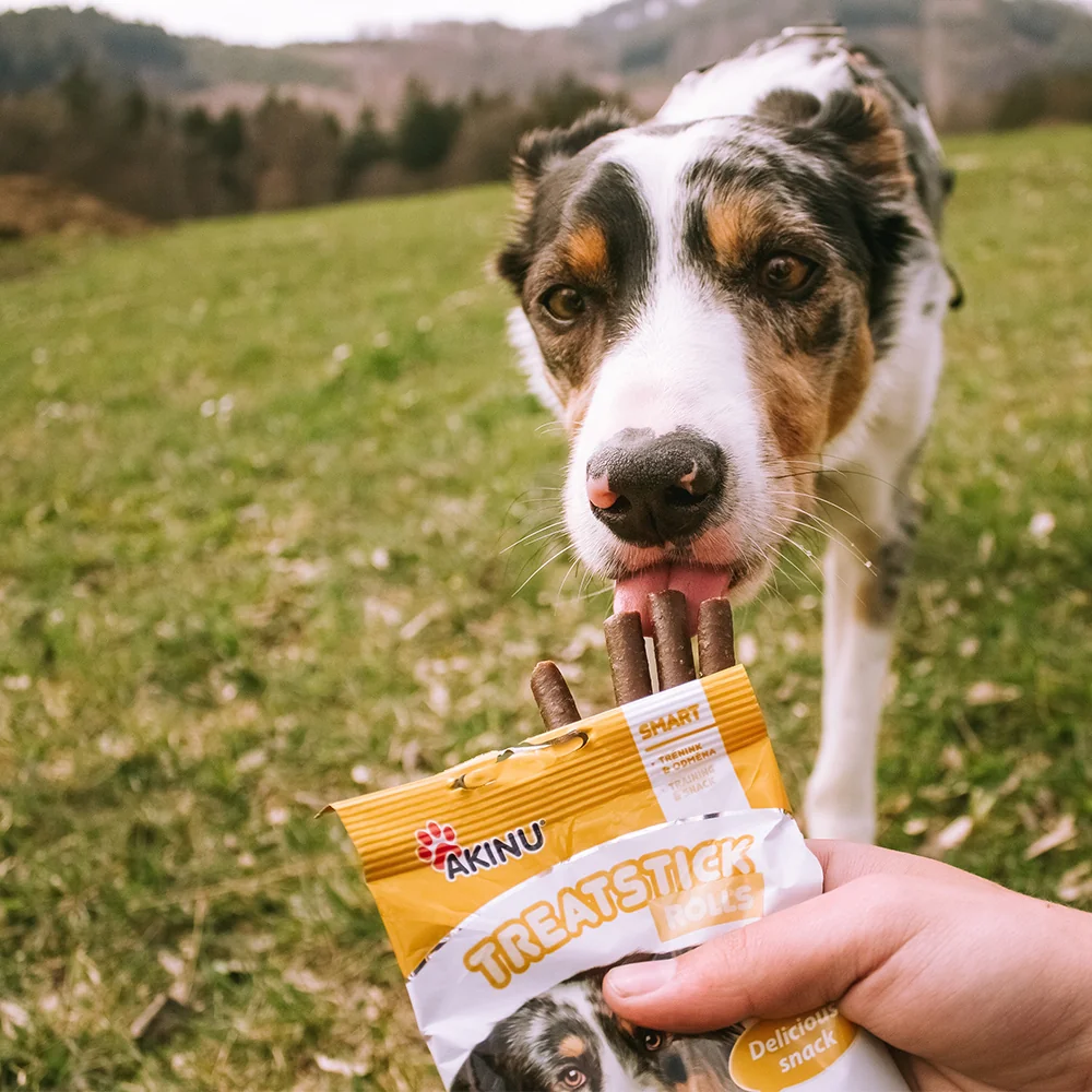Akinu TREATSTICK Dršťkové tyčinky pamlsek pro psy 11 x 12 ks