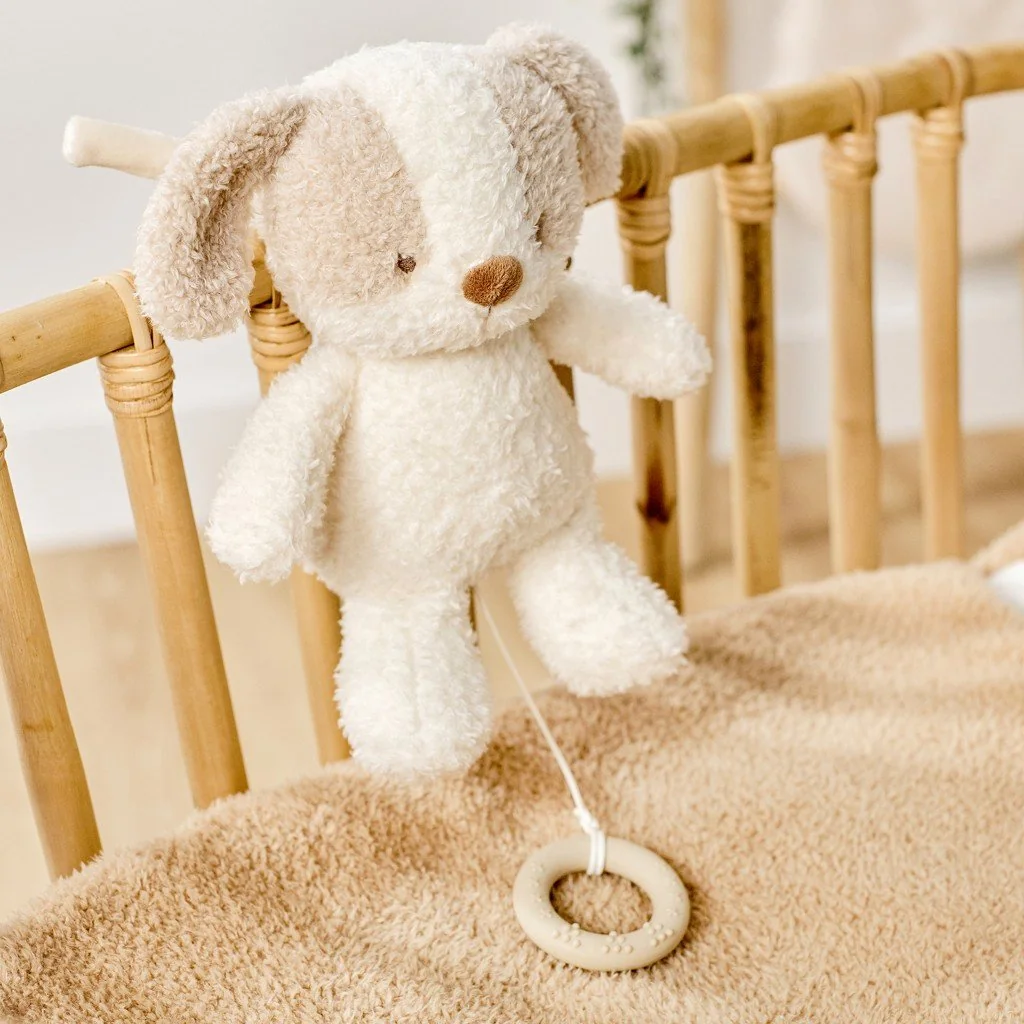 Nattou Hračka plyšová hudební Teddy pejsek 24 cm, 0m+
