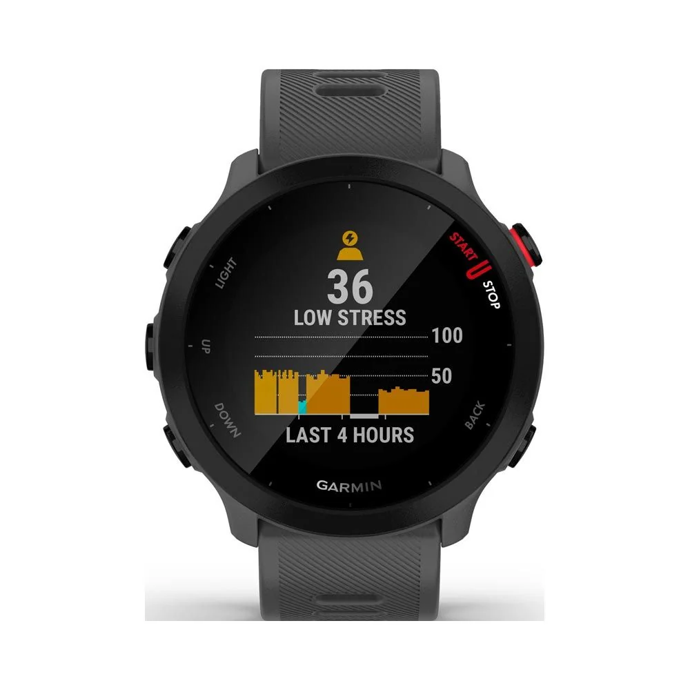 Garmin Forerunner 55 chytré hodinky s GPS Monterra Grey