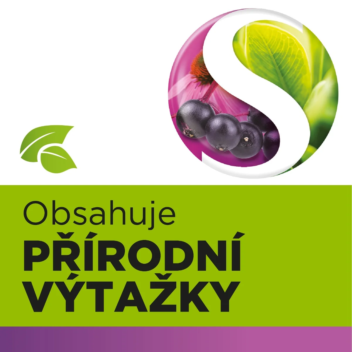 StrepHerbal Černý bez a Echinacea 24 pastilek
