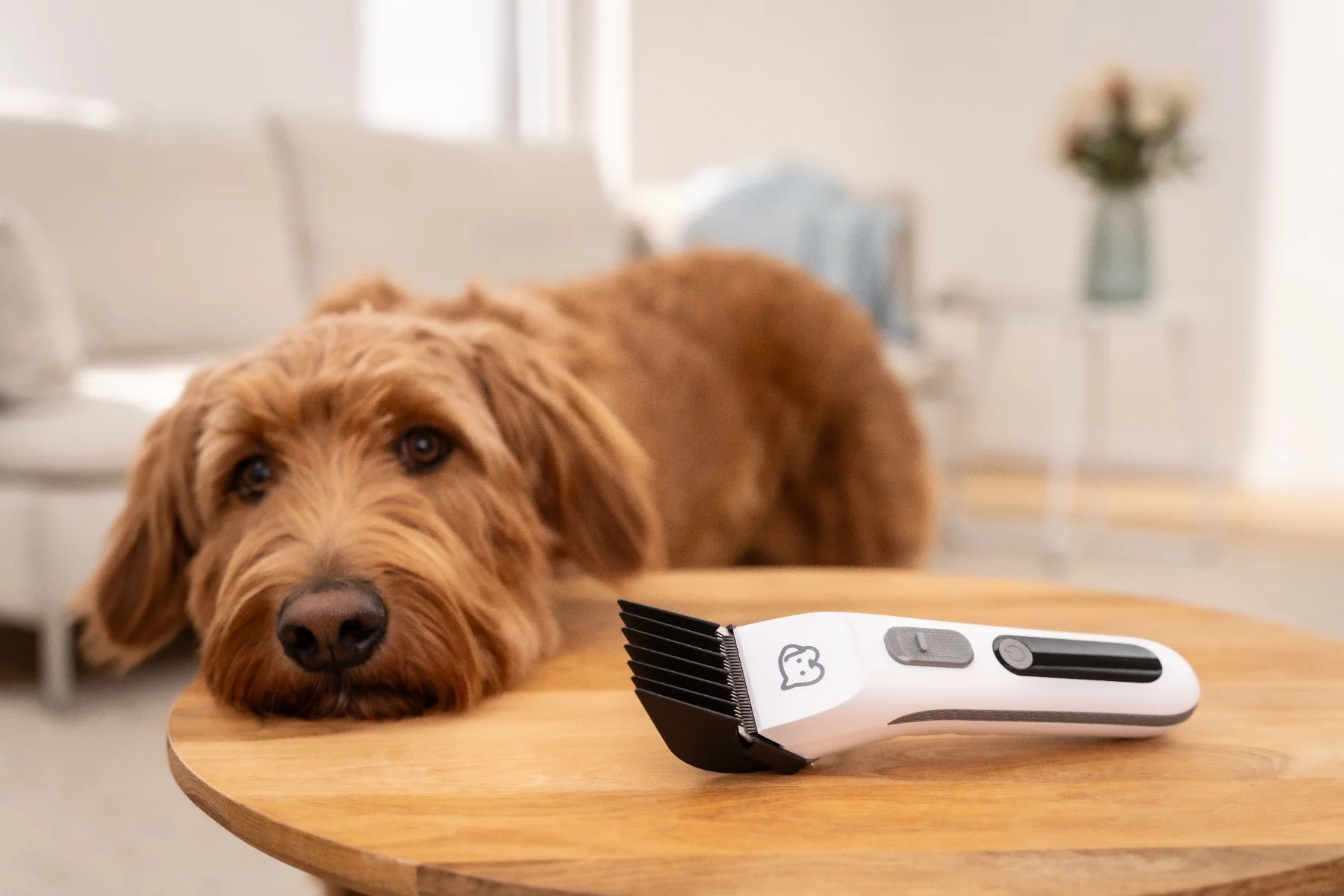Beurer PET program Zastřihovač srsti PP110 Fluffy