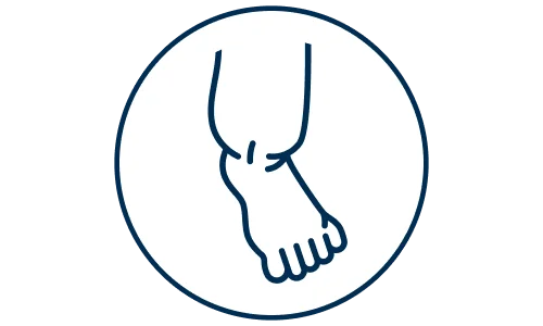 ikona