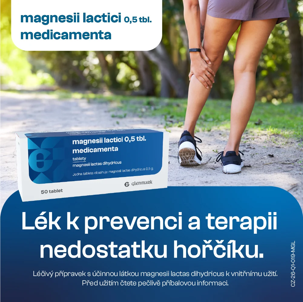 Medicamenta Magnesii lactici 0,5 tbl. 50 tablet