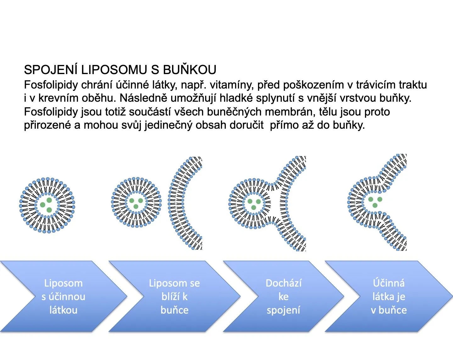 Nupreme Liposomal Curcumin 30 kapslí