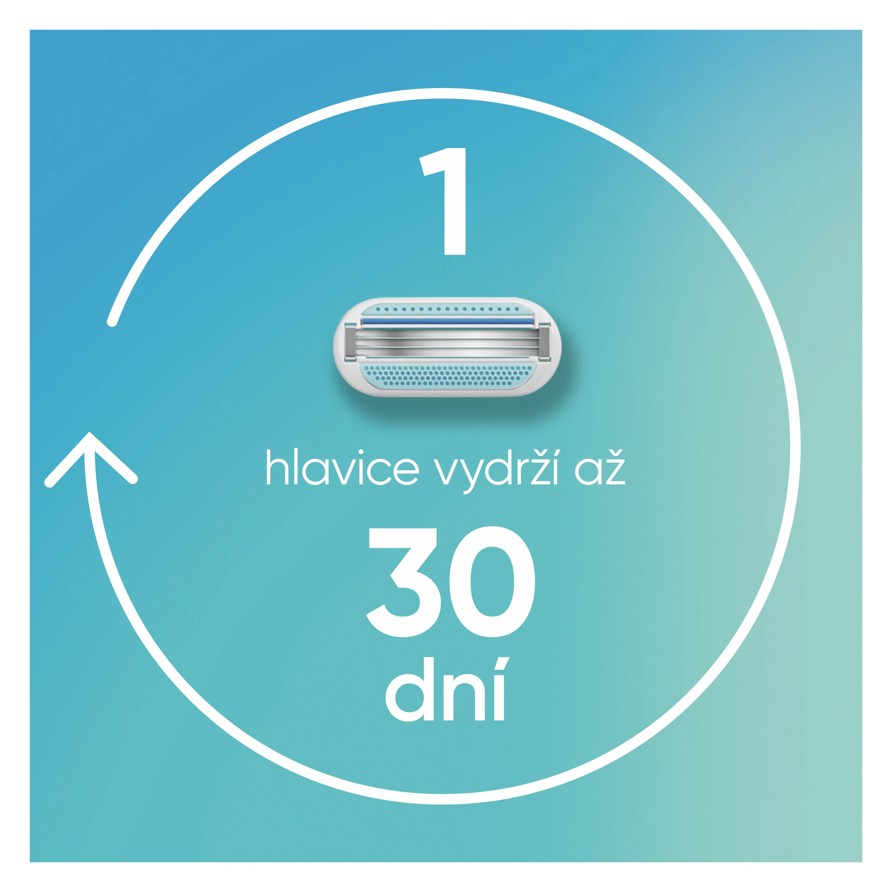 Gillette Venus Smooth náhradní hlavice 4 ks