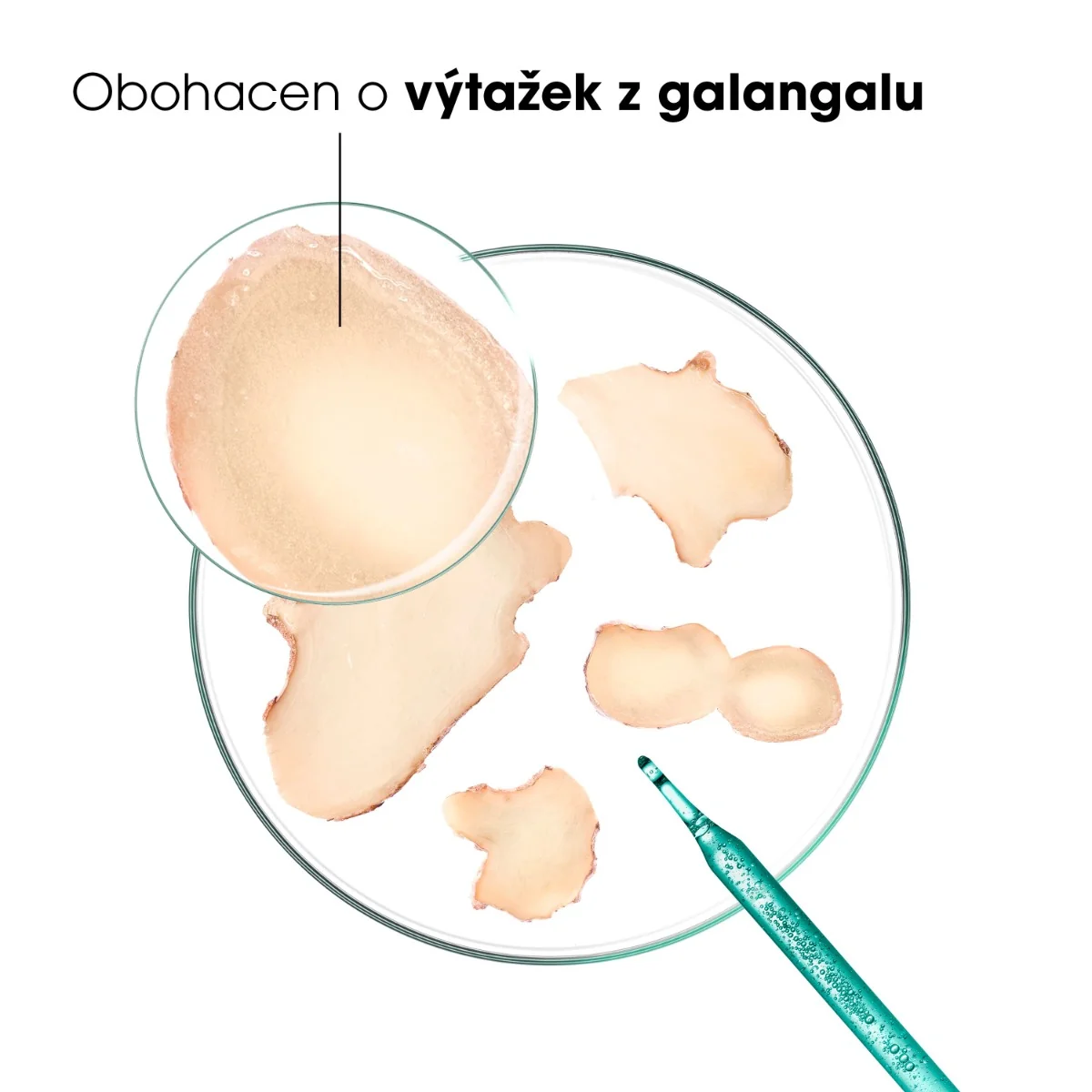 KLORANE Šampon proti lupům s galangalem 200 ml
