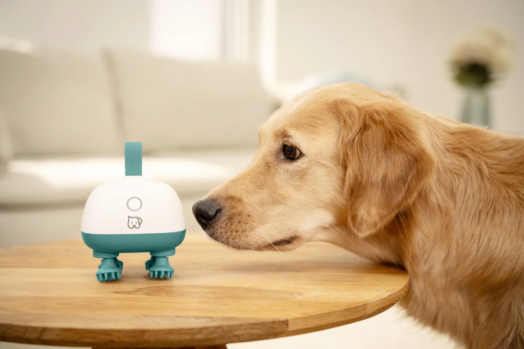 Beurer PET program Masážní přístroj Beurer PP410 Buddy