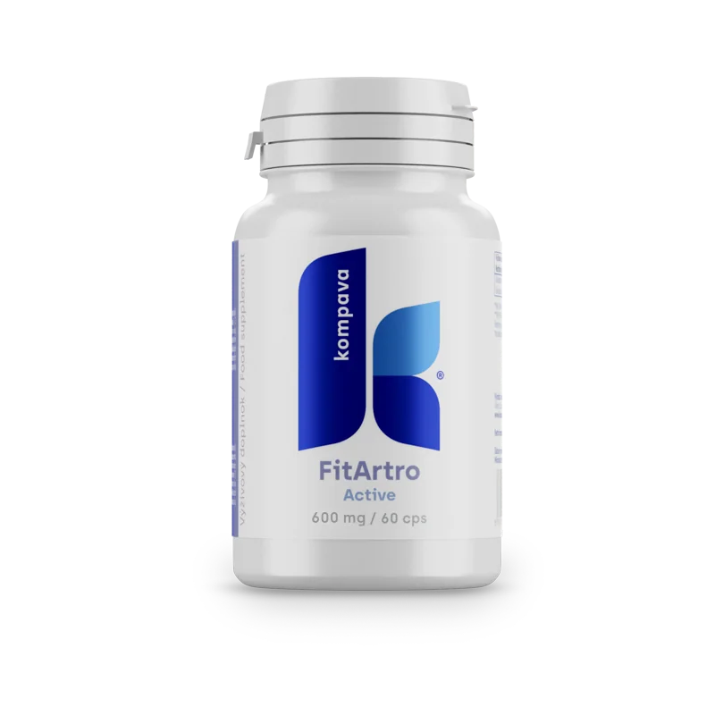 KOMPAVA Fit Artro Aktiv 600 mg/60 kps