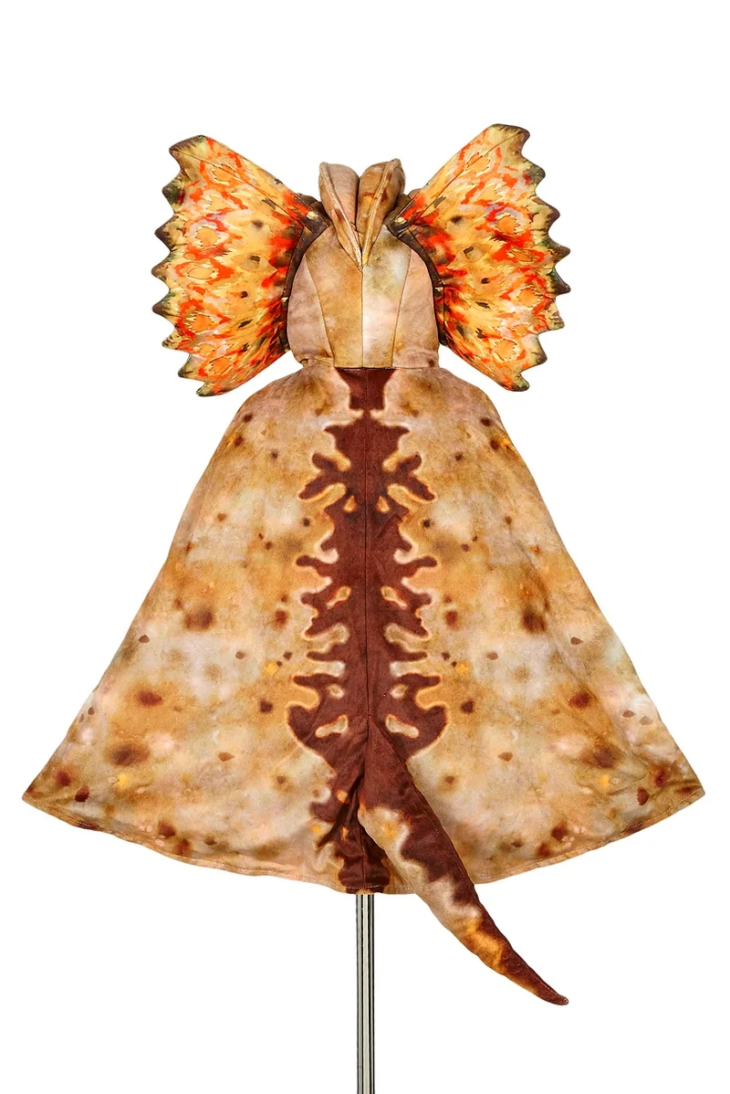 Souza! dětský kostým - dinosauří plášť Dilophosaurus - 4-7 let, 104-122 cm
