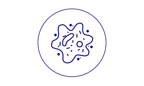 ikona
