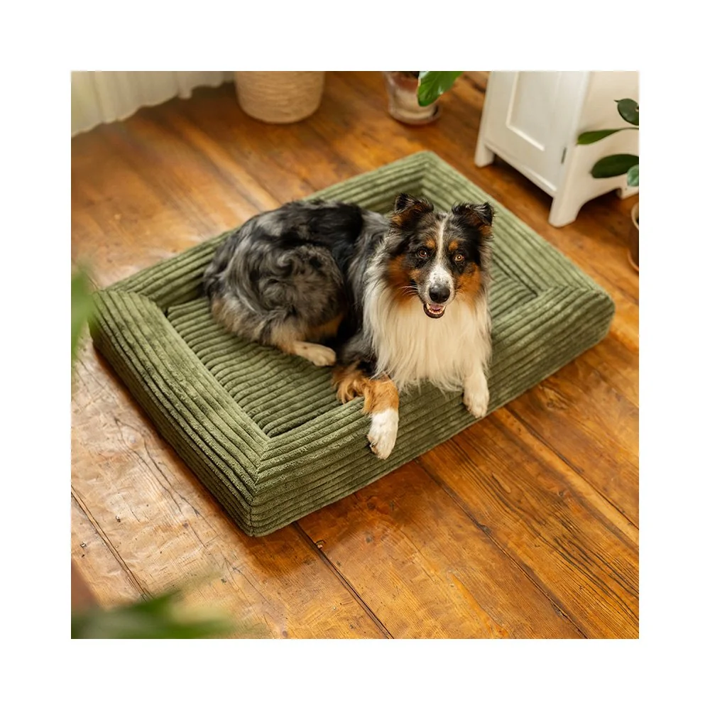 Explorer dog Pelech ortopedický Cloud M 100x70 Vanilla Beige