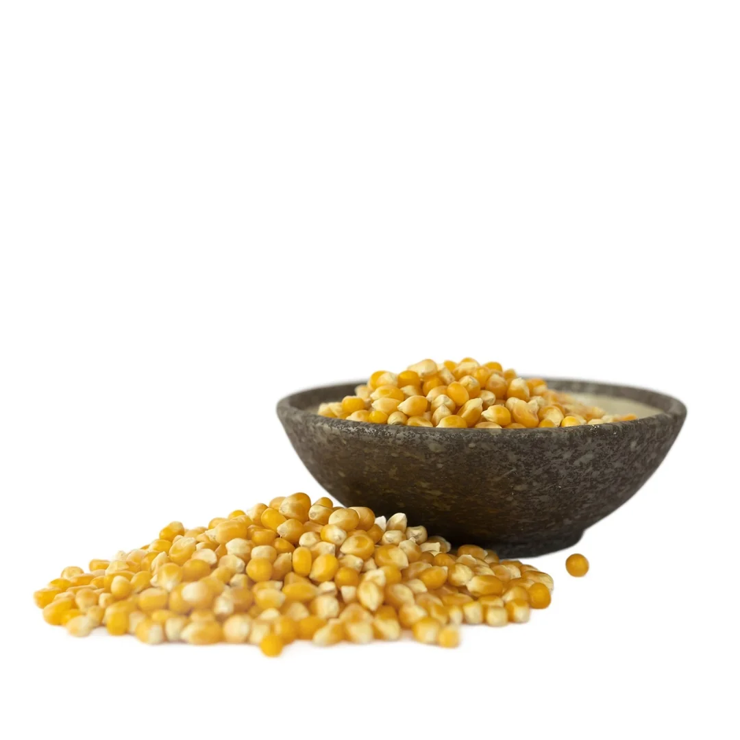 Lyopotraviny BIO Kukuřice na popcorn, 500 g