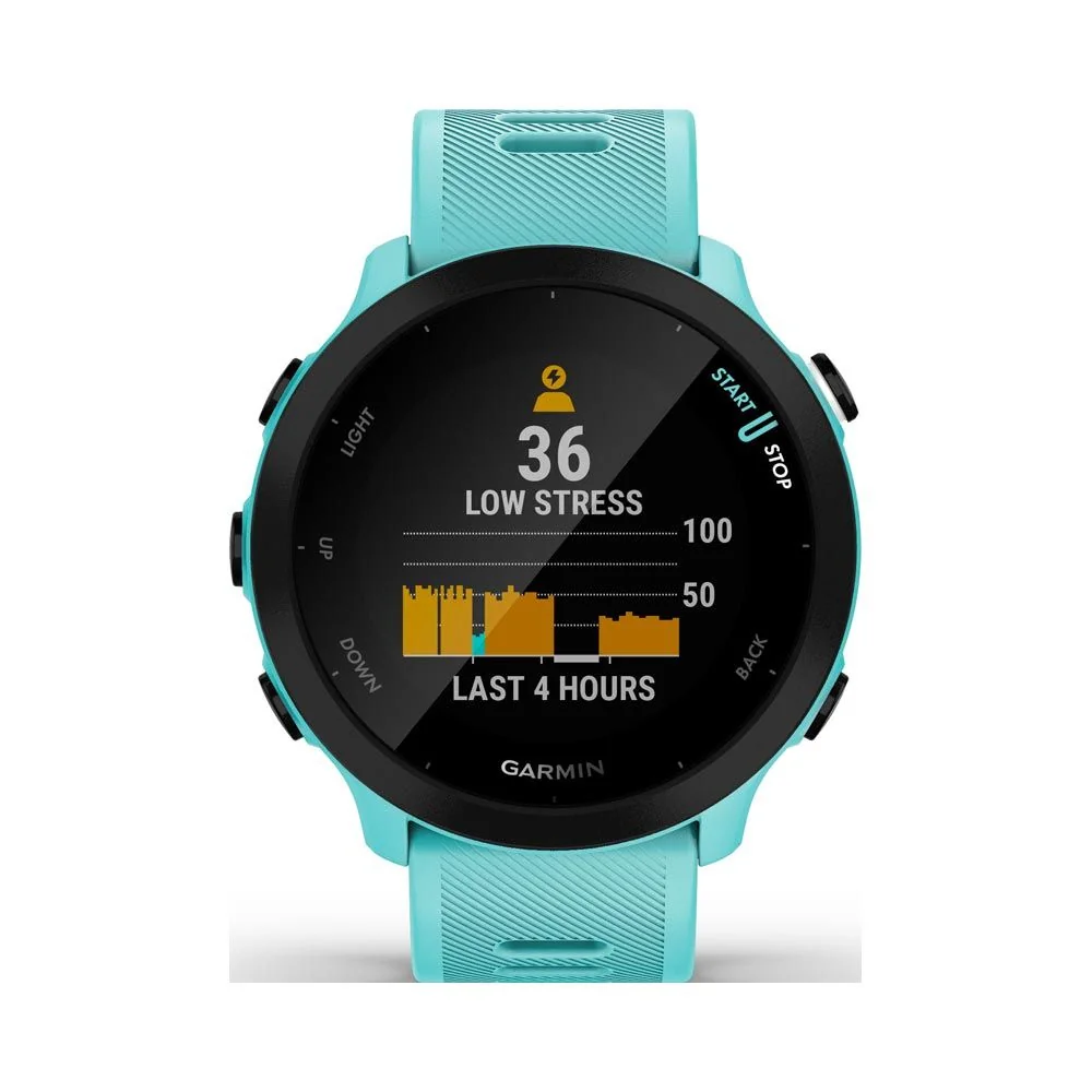 Garmin Forerunner 55 chytré hodinky s GPS Aqua Blue
