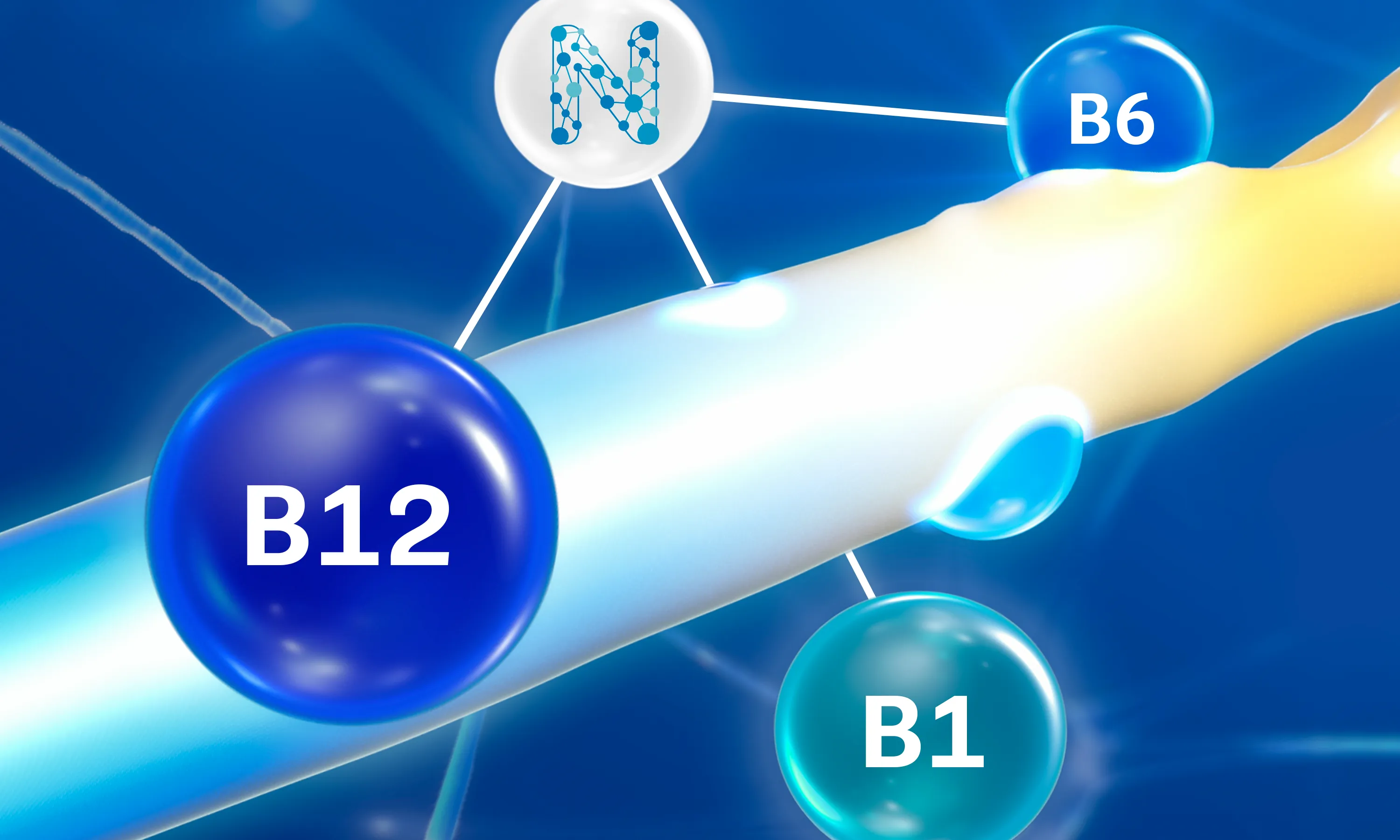 B12, B1, B6 aktivují, regenerují a chrání nervovou soustavu³