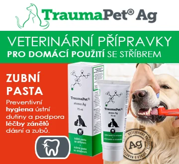 TraumaPet Ag. Veterinární přípravky pro domácí použití se stříbrem. Zubní pasta. Preventivní hygiena ústní dutiny a podpora léčby zánětů dásní a zubů.