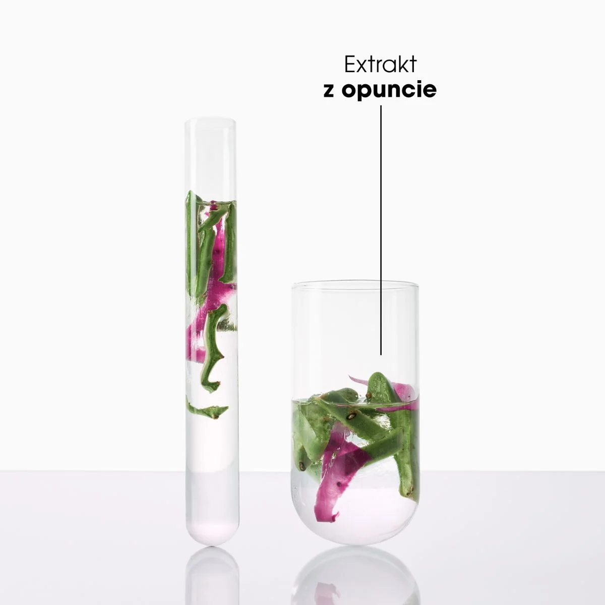 KLORANE Hydratační šampon s opuncií 400 ml