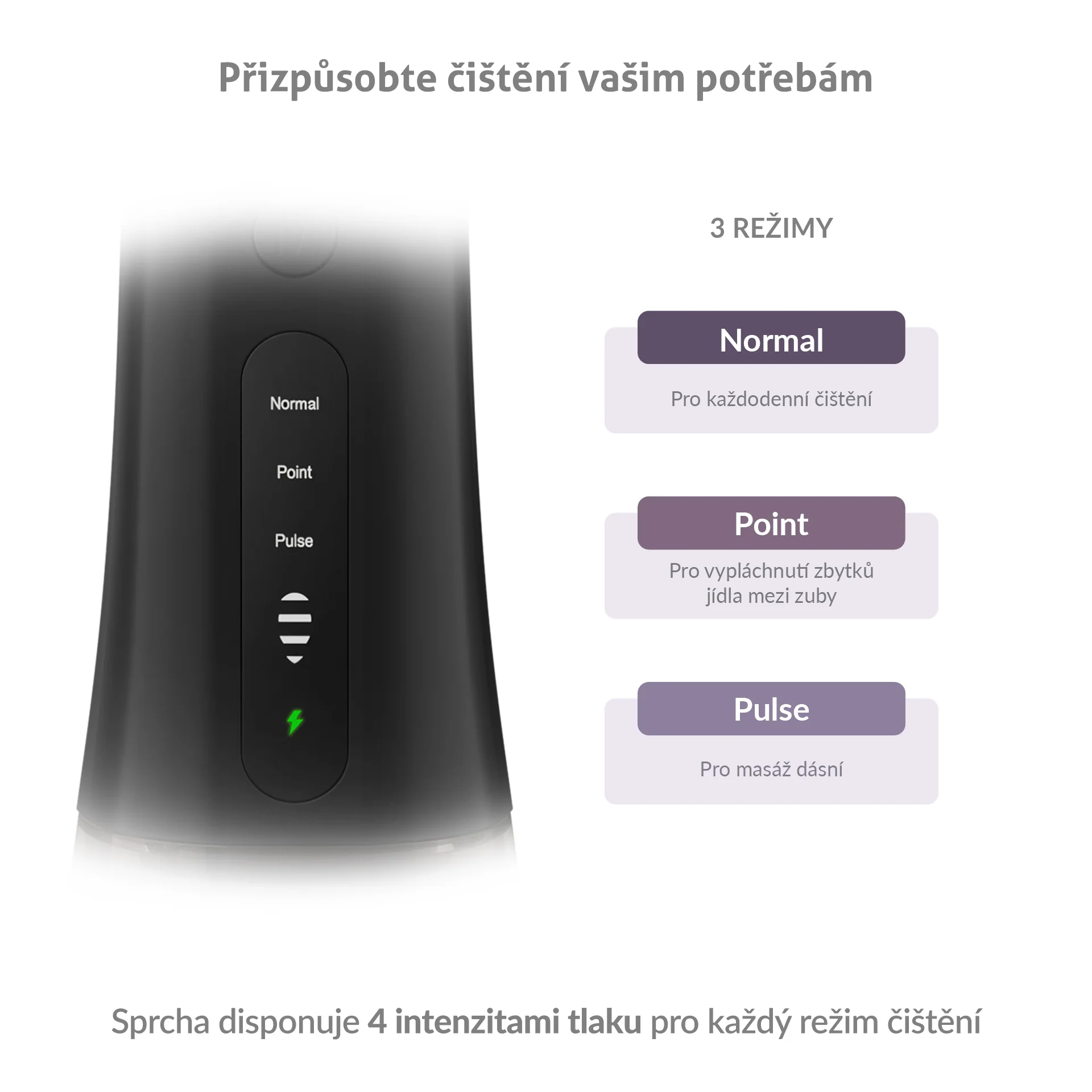 Truelife AquaFloss Compact L100 ústní sprcha černá
