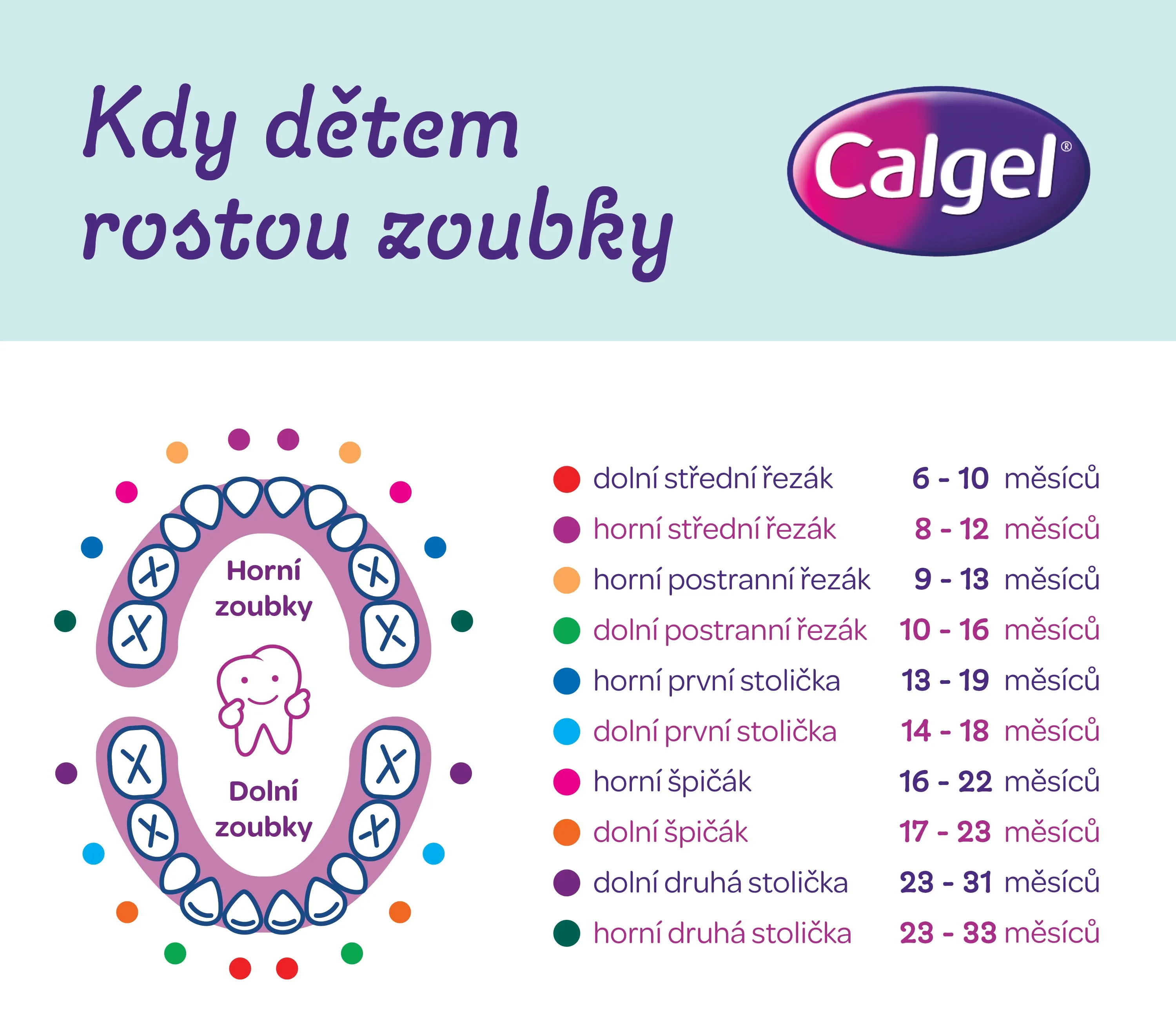 Calgel. Kdy dětem rostou zoubky?