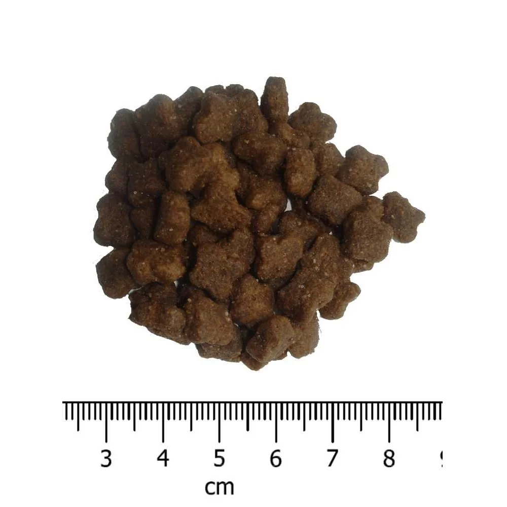 OPTIMAnova Cat Kitten 6 kg