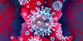 Koronavirus – 10 faktů, které by měl každý znát