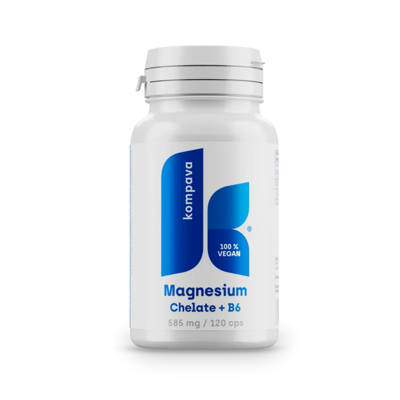 KOMPAVA Chelát hořčíku 585 mg/120 kapslí