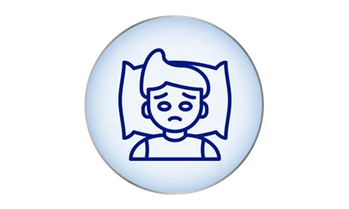 ikona