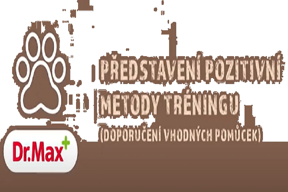 Pozitivní metody tréninku