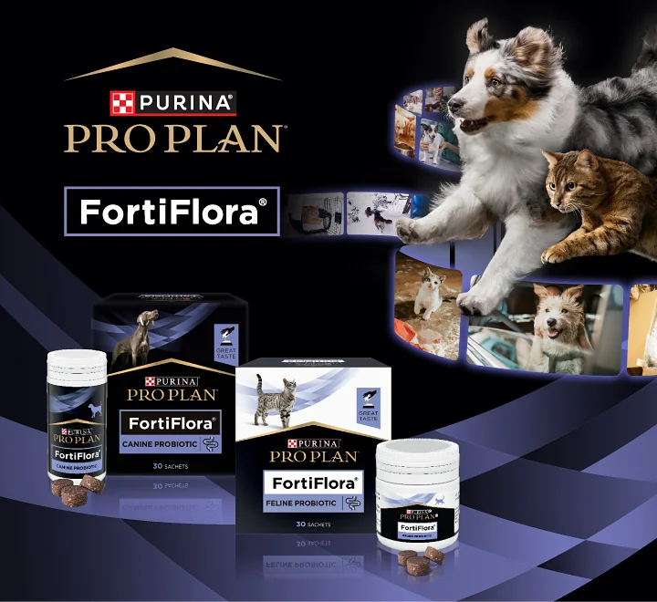 Purina Pro Plan FortiFlora