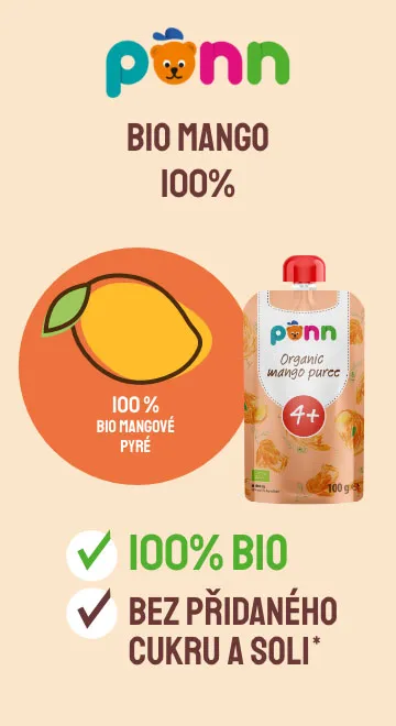 Mango 100%