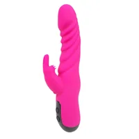 Healthy life Vibrator Rechargeable pink rose 0602570216