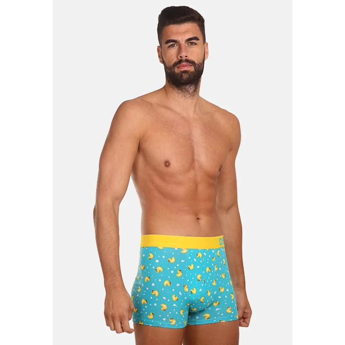 Dedoles Veselé pánské boxerky Kačenky (GMMT092) M