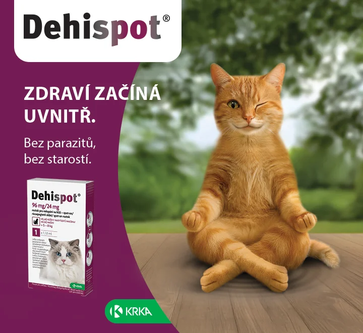 Dehispot. Zdraví začíná uvnitř. Bez parazitů, bez starostí. Dehispot. Zdraví začíná uvnitř. Bez parazitů, bez starostí.