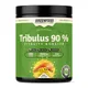 GreenFood Performance Tribulus Juicy mango 420 g